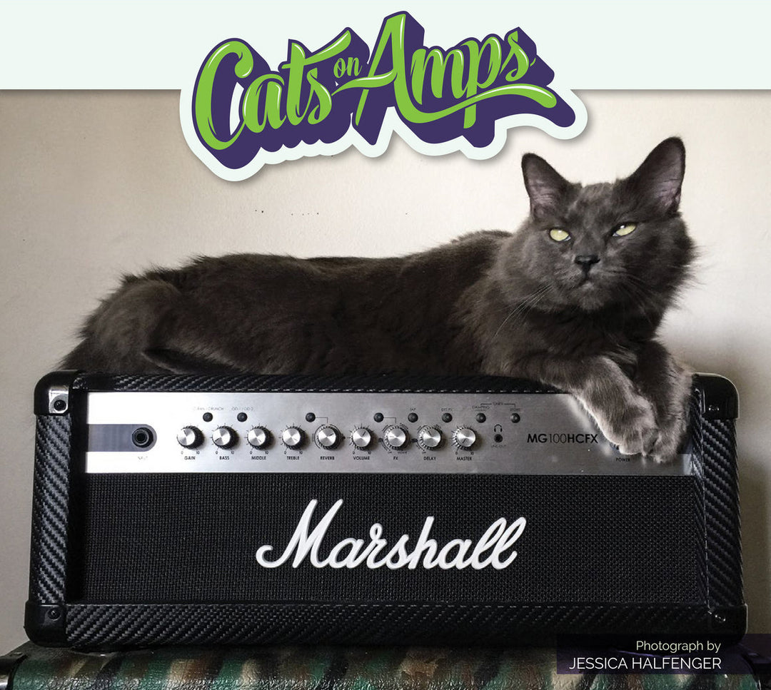 Cats on Amps