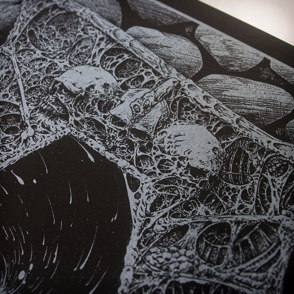Intricate black and white drawing featuring web-like patterns, circular forms, and detailed organic shapes, resembling an abstract or surreal network.