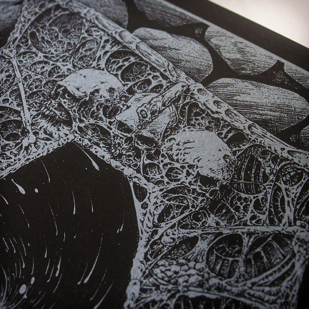 Intricate black and white drawing featuring web-like patterns, circular forms, and detailed organic shapes, resembling an abstract or surreal network.