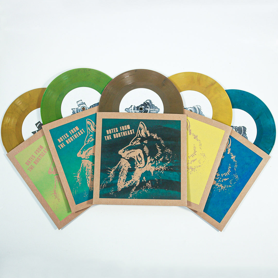 Four colored vinyl records (yellow, green, blue, brown)—all hardcore punk—are partly visible in illustrated sleeves with a wolf’s head and “Notes From the Northwest” on the front. Brand: Immigrant Sun Records.