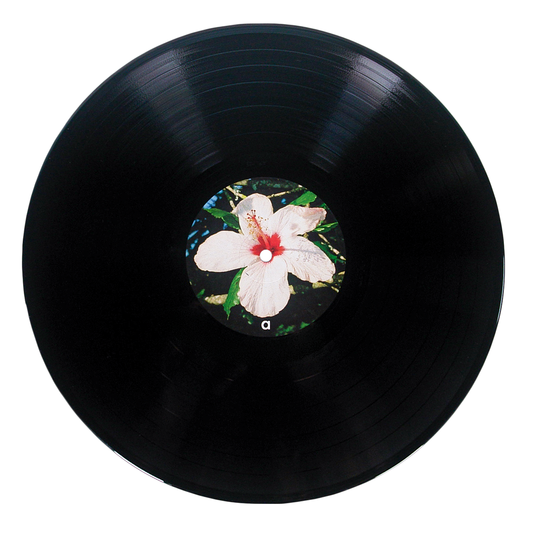 A black vinyl album by Alice Phoebe Lou featuring a center label with a white hibiscus flower, red center, and green leaves, inspired by the art on her Oblivion vinyl.