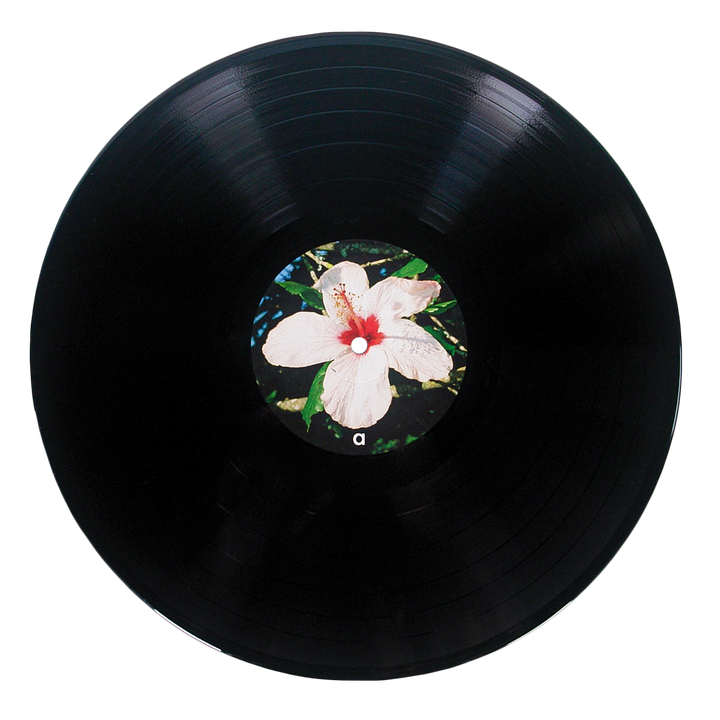 A black vinyl album by Alice Phoebe Lou featuring a center label with a white hibiscus flower, red center, and green leaves, inspired by the art on her Oblivion vinyl.