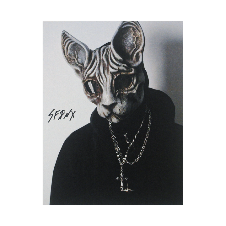 A person wearing a detailed sphynx cat mask, dressed in a dark hoodie with layered silver chains, stands against a plain background. The word SPHYNX is written in stylized text nearby.