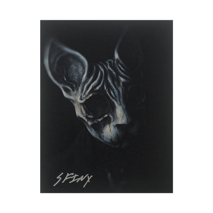 A dark, moody image of a hairless cat with dramatic lighting, highlighting its wrinkled skin and large ears. The word SPHYNX is written in stylized text at the bottom left corner.