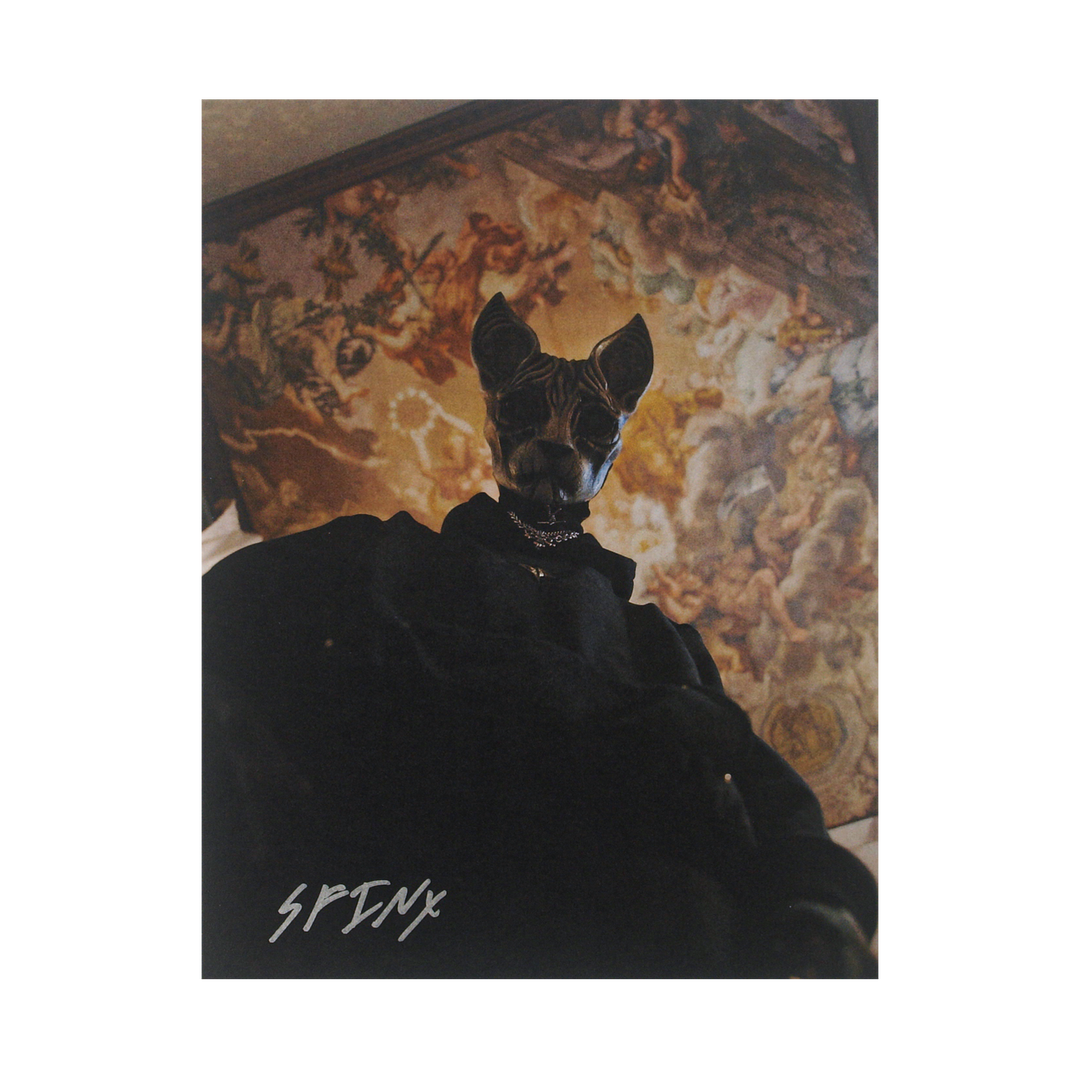 A person wearing a black Sphynx cat mask and dark clothing stands under a detailed, colorful ceiling mural. The word SPINX is written at the bottom left of the image.