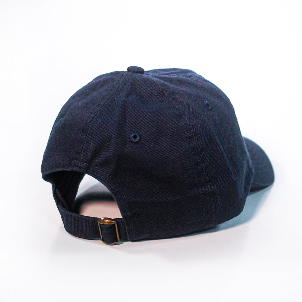 craig finn Always Been - Navy Dad Hat back