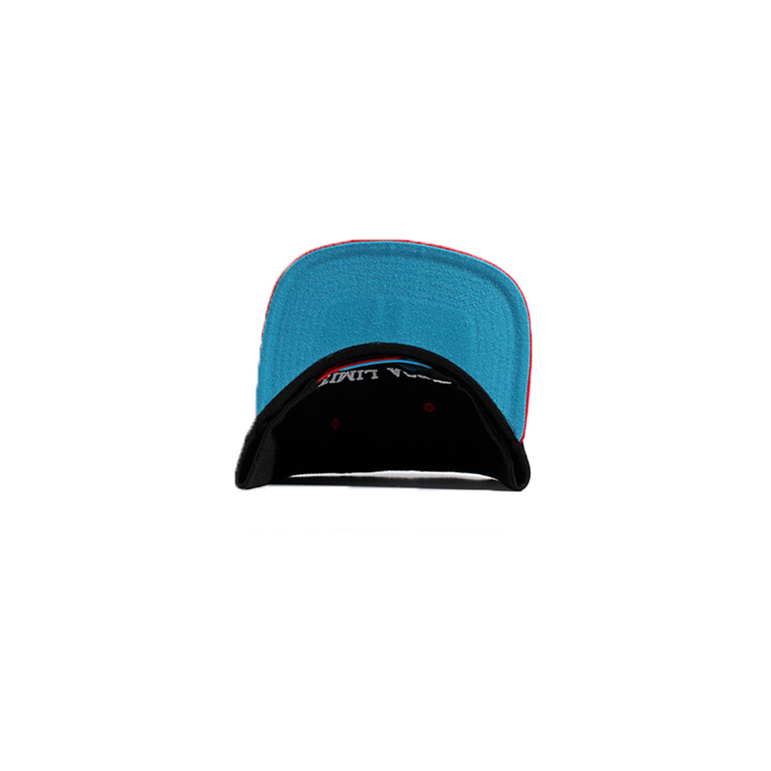 Viper Black Snapback Hat