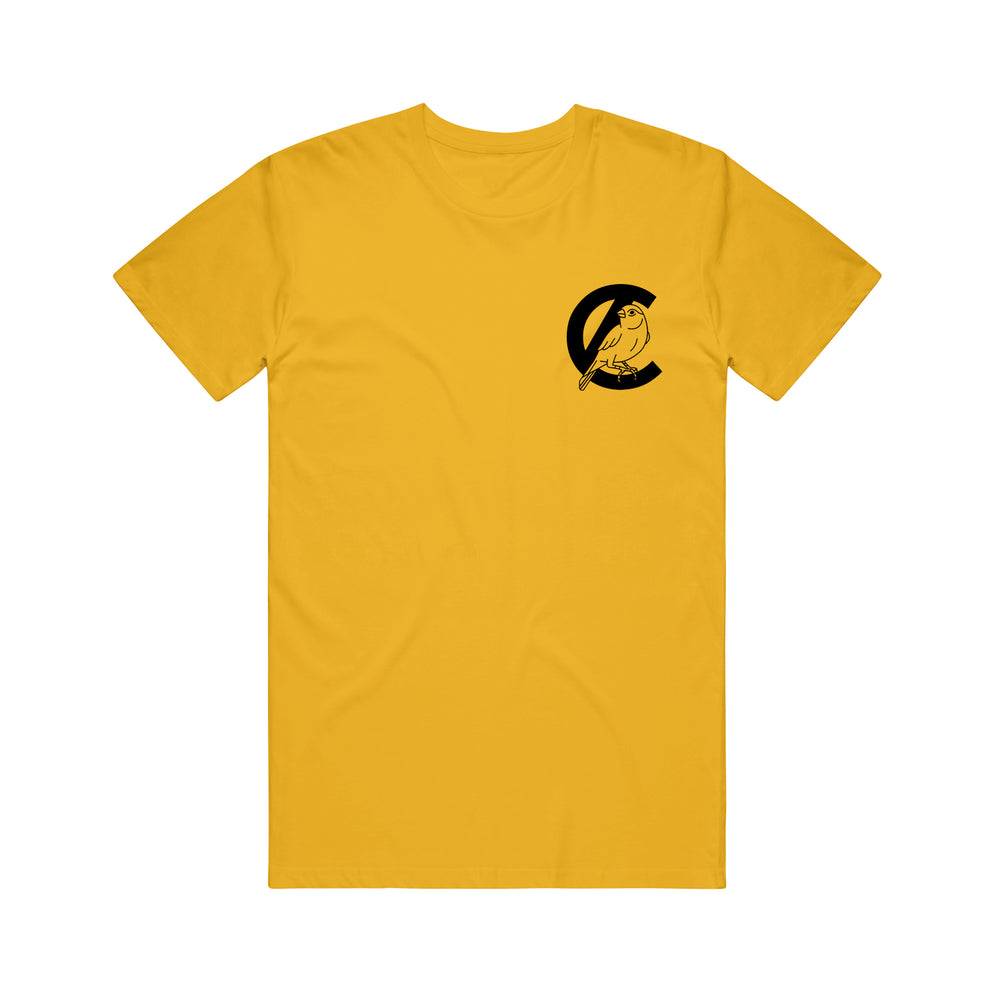 Caskets Hopes Dreams - Gold Tee front 
